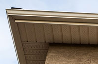 free Lower Sundon fascia quotes