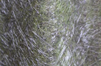 Lower Sundon fibreglass roof work